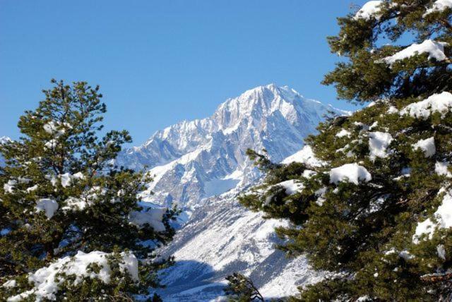 Appartamento Monte Bianco La Salle Extérieur photo